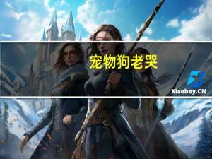 宠物狗老哭