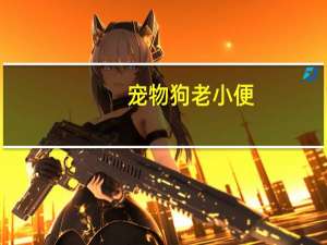 宠物狗老小便
