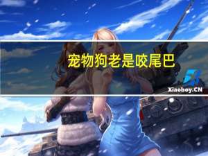 宠物狗老是咬尾巴