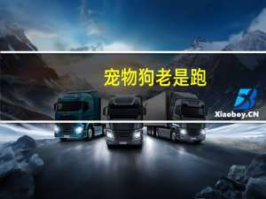 宠物狗老是跑