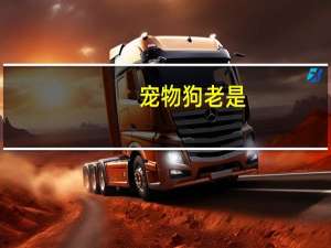 宠物狗老是