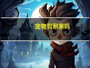 宠物狗耐寒吗