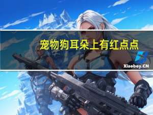 宠物狗耳朵上有红点点
