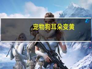 宠物狗耳朵变黄