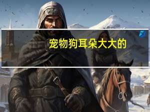宠物狗耳朵大大的