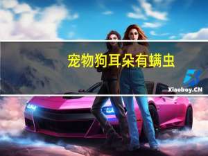 宠物狗耳朵有螨虫