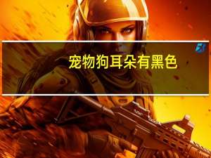 宠物狗耳朵有黑色