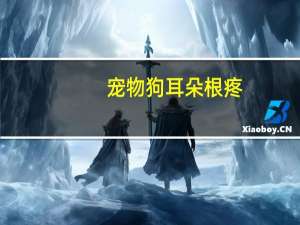 宠物狗耳朵根疼