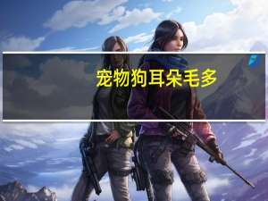 宠物狗耳朵毛多