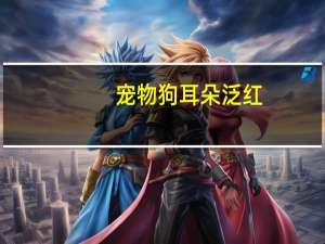 宠物狗耳朵泛红