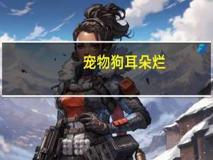 宠物狗耳朵烂