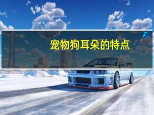 宠物狗耳朵的特点