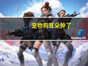 宠物狗耳朵肿了