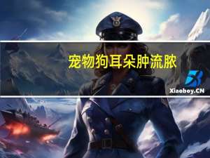 宠物狗耳朵肿流脓