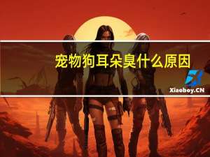 宠物狗耳朵臭什么原因