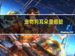 宠物狗耳朵里很脏