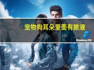 宠物狗耳朵里面有脓液