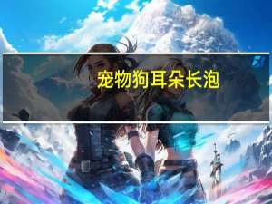 宠物狗耳朵长泡