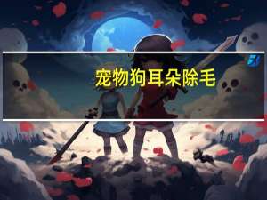 宠物狗耳朵除毛