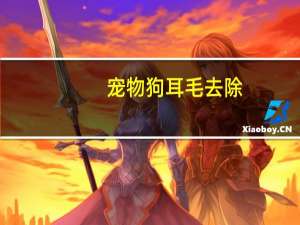 宠物狗耳毛去除
