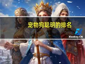 宠物狗聪明的排名