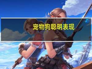 宠物狗聪明表现