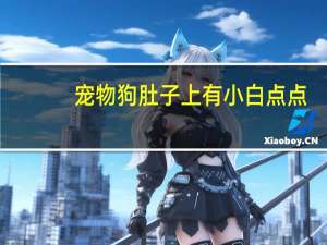 宠物狗肚子上有小白点点
