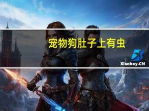 宠物狗肚子上有虫