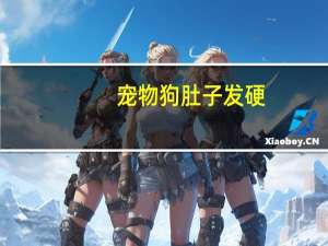 宠物狗肚子发硬