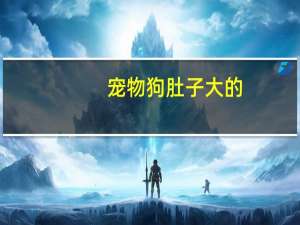 宠物狗肚子大的