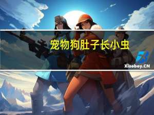 宠物狗肚子长小虫