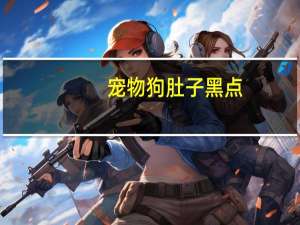 宠物狗肚子黑点