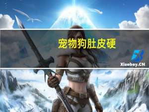 宠物狗肚皮硬