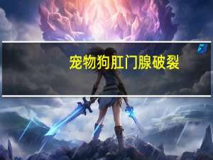 宠物狗肛门腺破裂