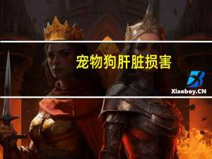 宠物狗肝脏损害