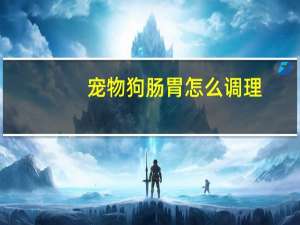宠物狗肠胃怎么调理