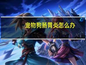 宠物狗肠胃炎怎么办