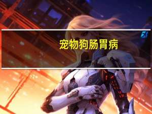 宠物狗肠胃病