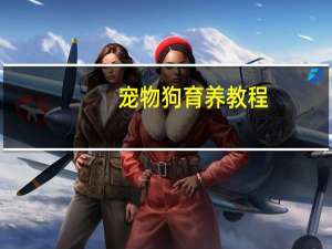 宠物狗育养教程