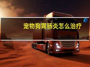 宠物狗胃肠炎怎么治疗