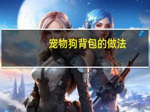 宠物狗背包的做法