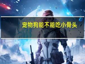 宠物狗能不能吃小骨头