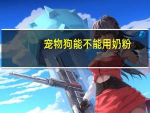 宠物狗能不能用奶粉