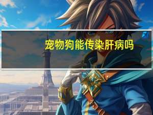 宠物狗能传染肝病吗