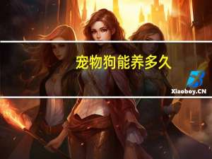 宠物狗能养多久