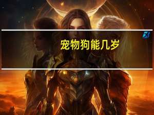 宠物狗能几岁