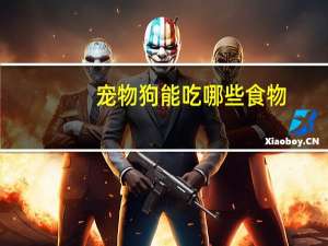 宠物狗能吃哪些食物