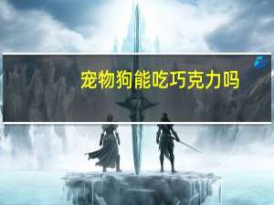 宠物狗能吃巧克力吗