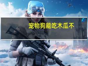 宠物狗能吃木瓜不