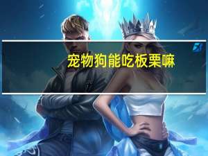 宠物狗能吃板栗嘛